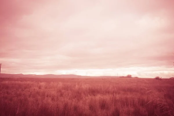 Fantasielandschaft Mit Feldern Und Verschwommenem Himmel — Stockfoto