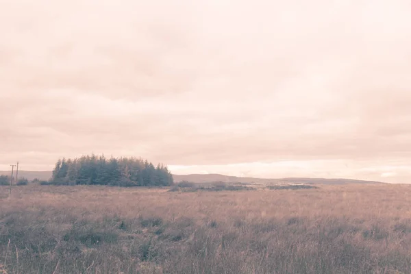 Fantasie Landelijk Landschap Met Velden Wazige Lucht — Stockfoto