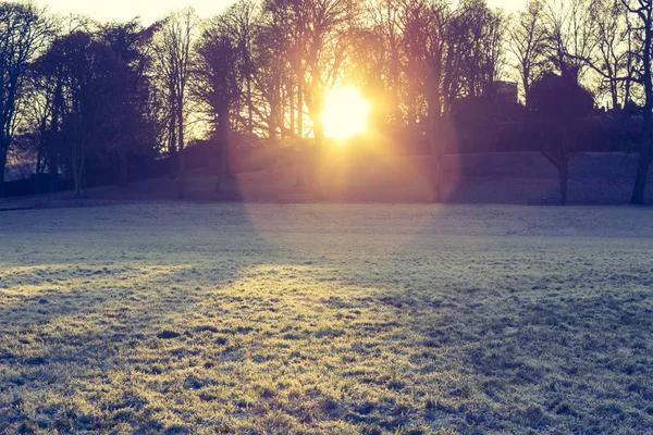 Prachtige Wintermiddag Linlithgow Park Linlithgow Schotland Verenigd Koninkrijk — Stockfoto