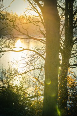 Linlithgow Gölü 'nde sonbaharda ağaçlar, İskoçya' da Linlithgow, Uk 