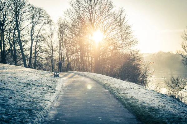Bellissimo Pomeriggio Inverno Linlithascar Park Linlithmbh Scozia Regno Unito — Foto Stock