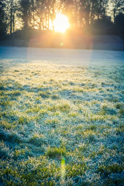 Bellissimo Pomeriggio Inverno Linlithascar Park Linlithmbh Scozia Regno Unito — Foto Stock