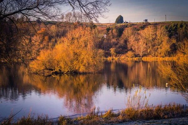 Lignée Loch Printemps — Photo