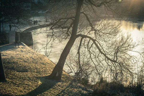 Bomen Mist Bij Linlithgow Loch Het Najaar Linlithgow Schotland Verenigd — Stockfoto