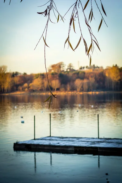 Linlithgow Loch Het Voorjaar — Stockfoto