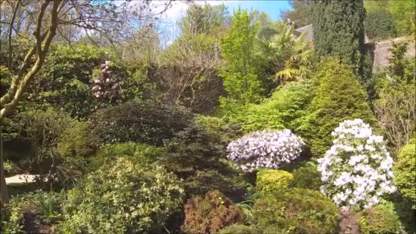 Vacker Barrträdgård Med Blommande Träd Och Buskar Våren — Stockvideo