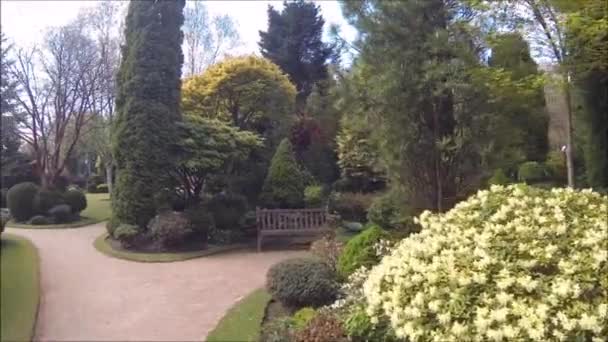 Schöner Nadelbaumgarten Mit Blühenden Bäumen Und Sträuchern Frühling — Stockvideo