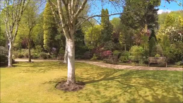 Hermoso Jardín Coníferas Con Árboles Arbustos Flor Primavera — Vídeos de Stock