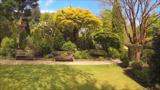 Vacker Barrträdgård Med Blommande Träd Och Buskar Våren — Stockvideo