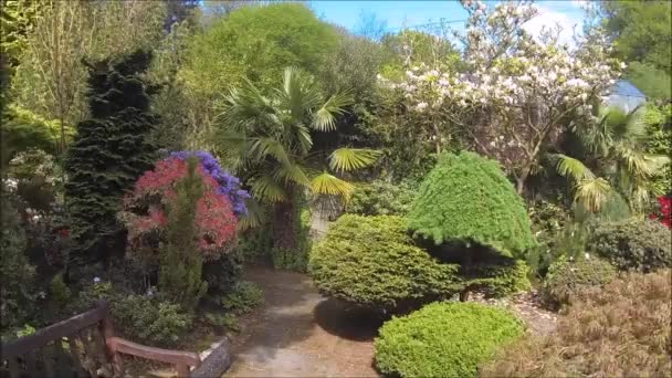 春に咲く木や茂みと美しい針葉樹の庭 — ストック動画
