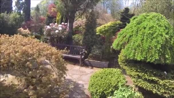 Hermoso Jardín Coníferas Con Árboles Arbustos Flor Primavera — Vídeo de stock