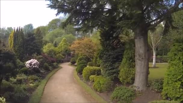 Красивый Хвойный Сад Цветущими Деревьями Кустарниками Весной — стоковое видео