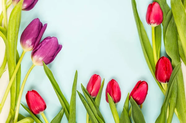 Red Spring Tulpen Auf Papier Hintergrund — Stockfoto