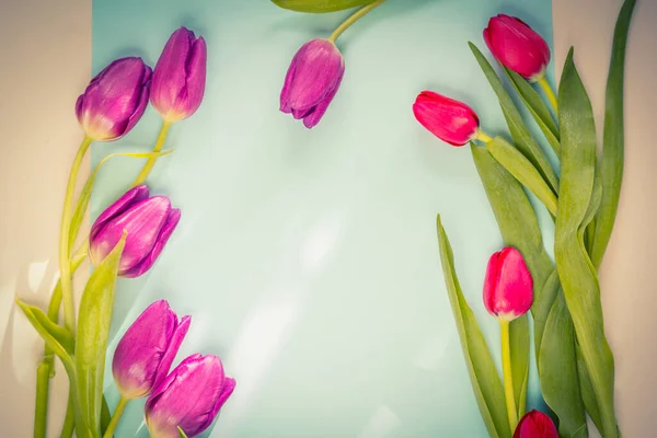 Red Spring Tulips Paper Background — Stock Photo, Image