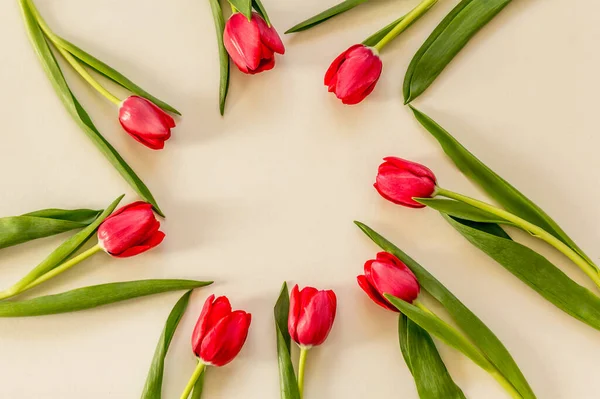 Lente Tulpen Papieren Ondergrond — Stockfoto