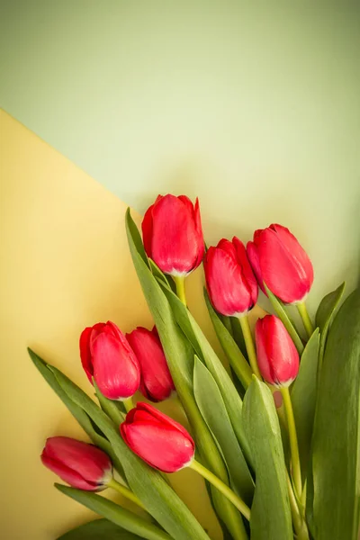 Frühling Tulpen Auf Gelbem Und Grünem Papier Hintergrund — Stockfoto