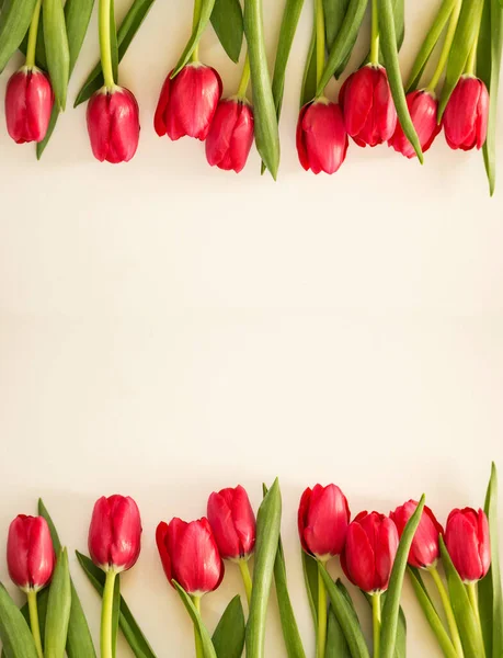 Red Spring Tulpen Auf Cremefarbenem Hintergrund — Stockfoto