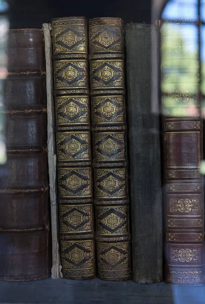 Libros antiguos históricos en la biblioteca, estantería de madera —  Fotos de Stock