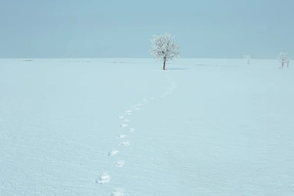 Zima Krajobraz pod snow biały — Zdjęcie stockowe