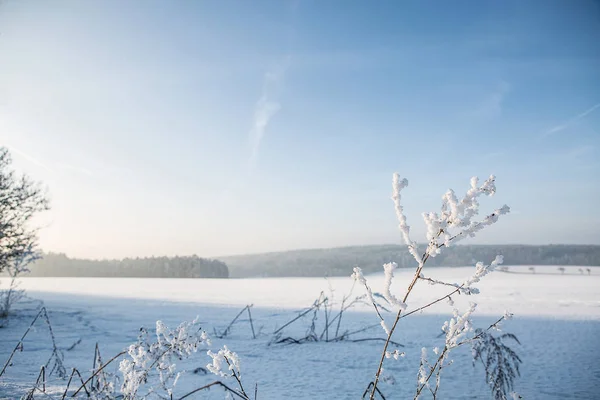 白い雪で冬の風景 — ストック写真