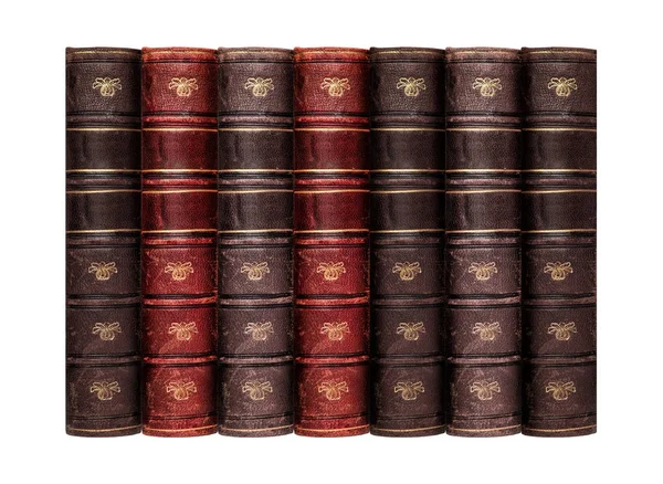 Livros antigos com pele de couro — Fotografia de Stock