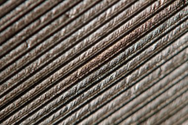 Kuş tüyü arka plan. Macro stüdyo çekimi.