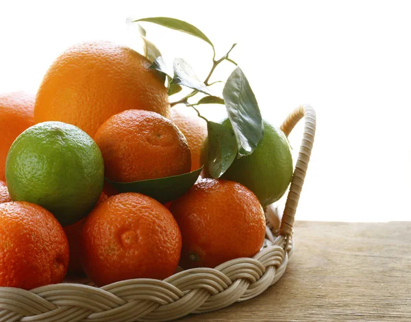 Assorted citrus (oranges, lime, mandarin, lemon) — Stock Photo, Image