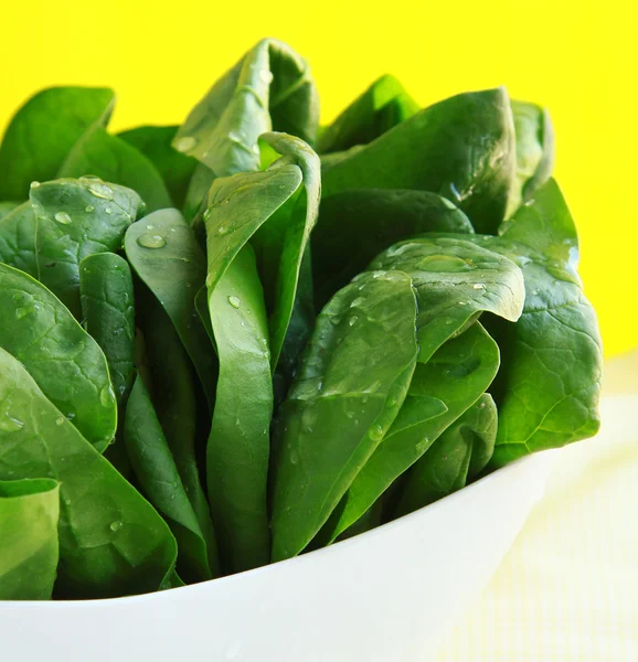Espinafre orgânico verde fresco Alimentação saudável — Fotografia de Stock