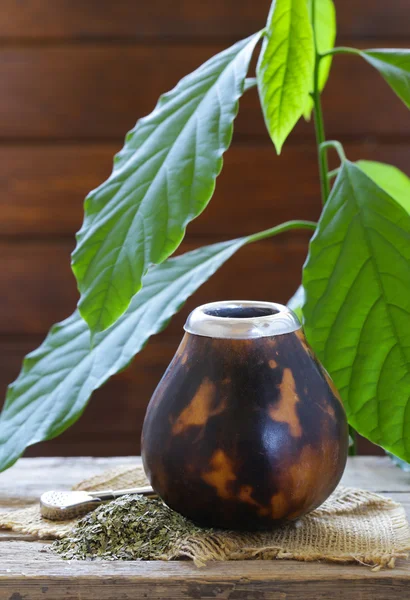 Traditionella yerba mate te i calabash mugg och bombilla — Stockfoto