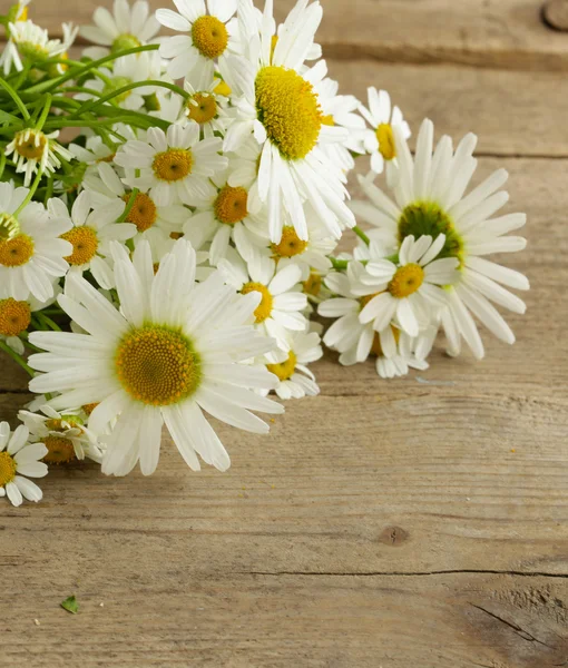 Mazzo di fiori di camomilla fresca sullo sfondo di legno Fotografia Stock