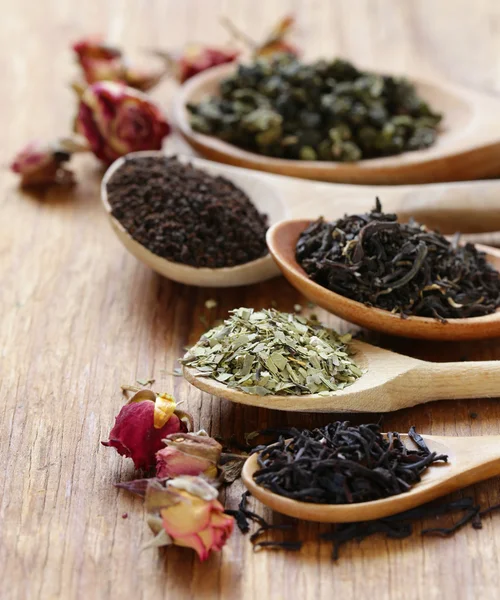 Various types of tea in a wooden spoon — Stock Photo, Image