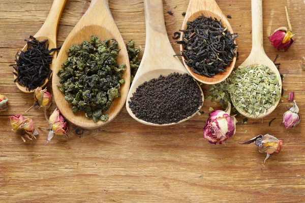 Bir tahta kaşık çay türleri — Stok fotoğraf