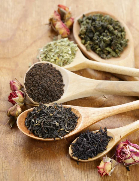 Various types of tea in a wooden spoon — Stock Photo, Image