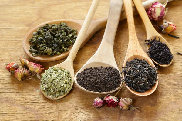 Varios tipos de té en una cuchara de madera — Foto de Stock