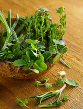 Çeşitli aromatik otlar (biberiye, kekik, maydanoz, fesleğen)