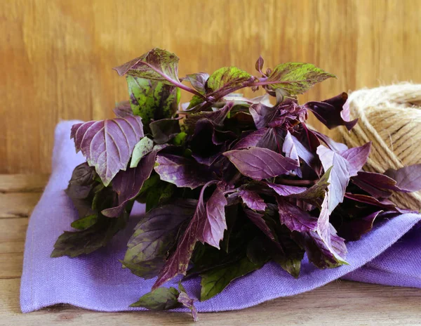 Basilico organico profumato viola - condimenti e spezie — Foto Stock