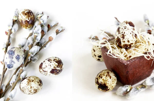 Ovos de codorniz e ramos de salgueiro, símbolos de Easter — Fotografia de Stock