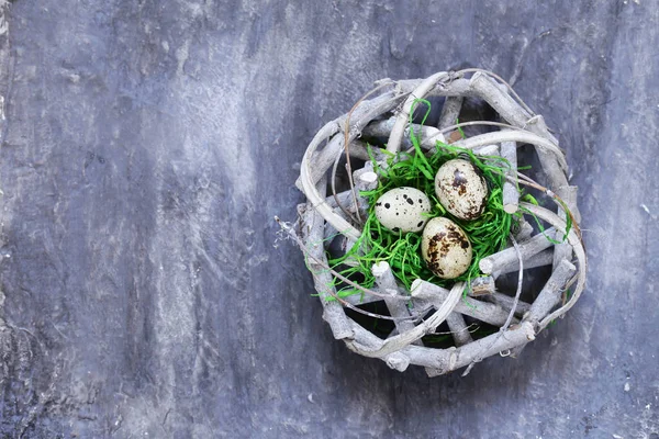 Gniazdo wikliny gałązki i przepiórczych jaj na szarym tle, symbolem Wielkanocy — Zdjęcie stockowe