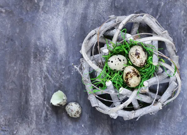 Wicker nest of twigs and quail eggs on a gray background, symbol of Easter — Stock Photo, Image