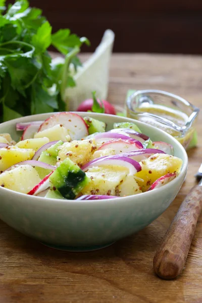 Ensalada de patata con rábanos y pepinos, aderezo de mostaza —  Fotos de Stock