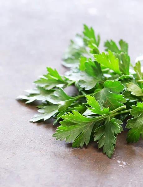 Salsa verde fresca na mesa — Fotografia de Stock