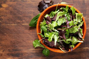 yeşil salata karışımı - ıspanak, roka, marul