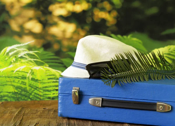 Vintage suitcase, hat, glasses - travel concept — Stock Photo, Image