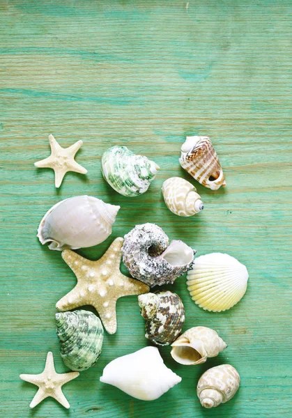 Vacation concept - starfish and seashells on a wooden background — Stock Photo, Image