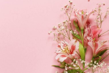 Pembe bir arka plan bahar çiçekleri (alstroemeria)