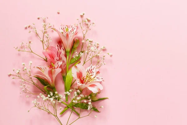 Spring flowers (alstroemeria) on a pink background — Stock Photo, Image