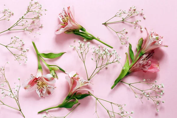 Wiosenne kwiaty (alstroemeria) na różowym tle — Zdjęcie stockowe