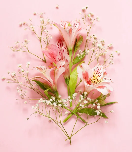 Άνοιξη λουλούδια (Αλστρομέριες) σε ροζ φόντο — Φωτογραφία Αρχείου