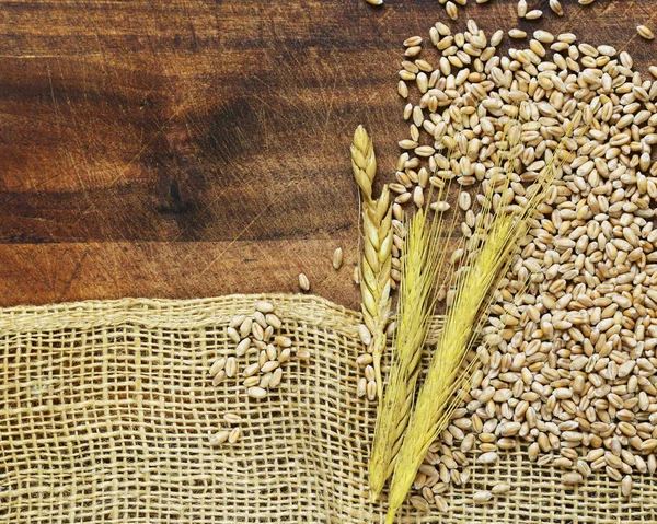 Dřevěné pozadí s hrubé tkaniny pytlovina a pšenice uši a zrna — Stock fotografie