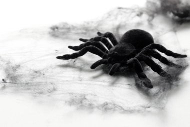 Halloween süslemeleri - siyah örümcek ağı ve yarasalar